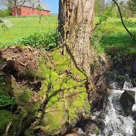 Gut Haselbach Im Erzgebirge *