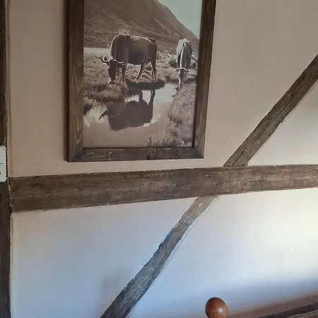 Ferienhaus Gut Haselbach im Erzgebirge Ferienhaus *