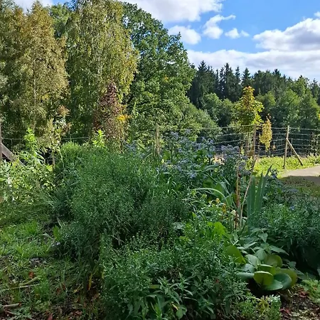 Haselbach Im Erzgebirge בית נופש אולברנהאו